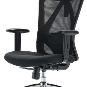 NOV416 Attic Ergonomic Breathable Adjustable Chair
