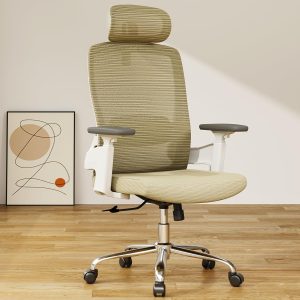 NOV418 Executive Ergonomic Adjustable Computer Chair