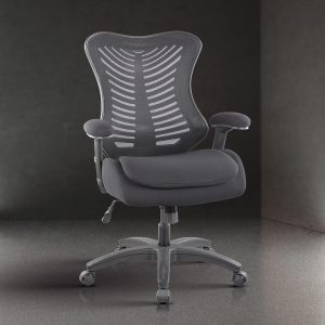 NOV410 Ergonomic Office Chair High Chair